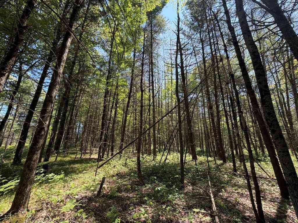 Vacant Land For Sale - V/L Us-10  <br/> Baldwin, MI 49642