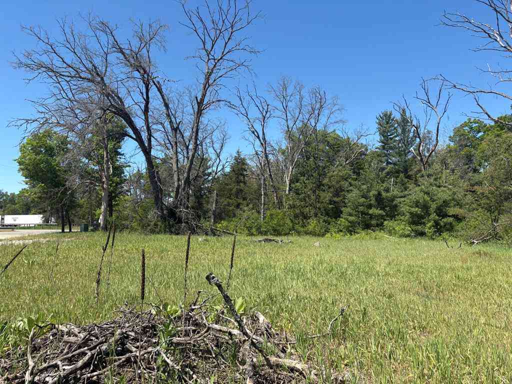 Vacant Land For Sale - 9457 S Michigan 37  <br/> Lake County, Baldwin, MI 49304