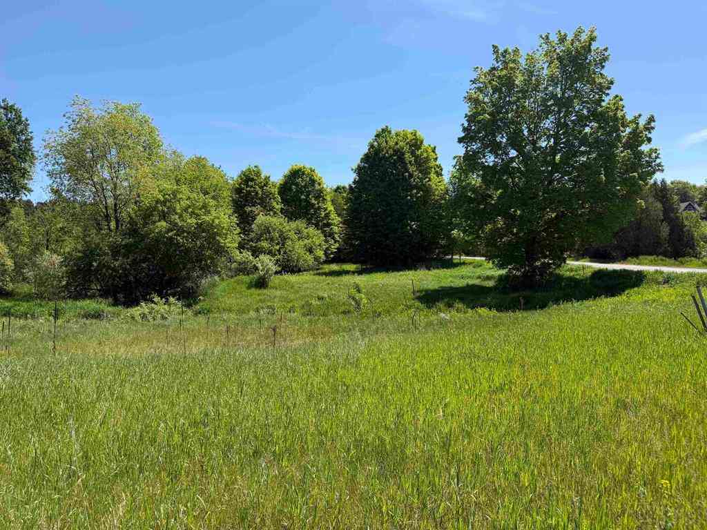 Vacant Land For Sale - 1 Shanty Creek Road <br/> Bellaire, MI 49615
