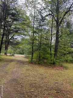 Vacant Land For Sale - 5055 Adams Road <br/> Gladwin, MI 48624