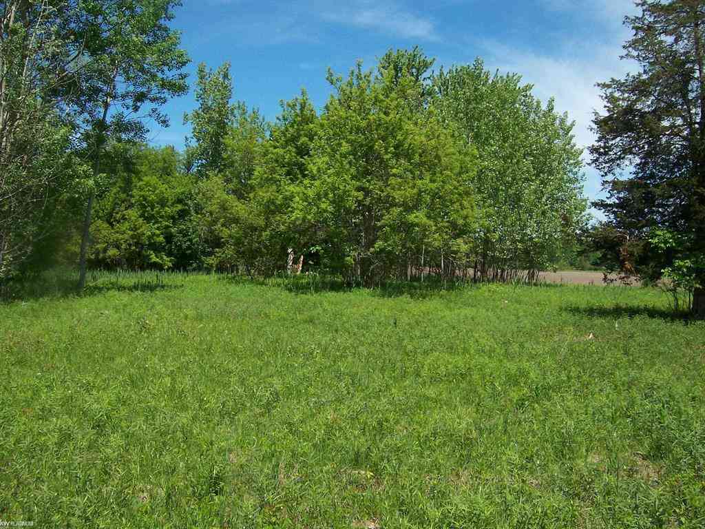 Vacant Land For Sale - LOT 1 Lapeer Rd Road <br/> Kimball, MI 48074