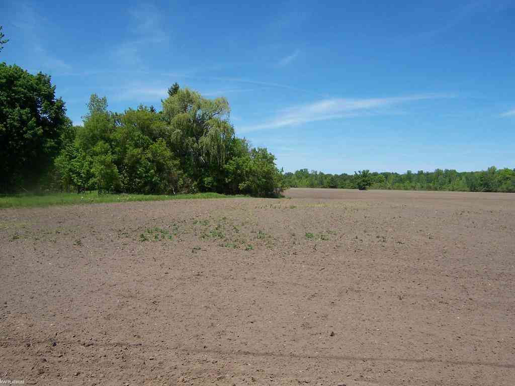 Vacant Land For Sale - LOT 3 Lapeer Rd Road <br/> Kimball, MI 48074