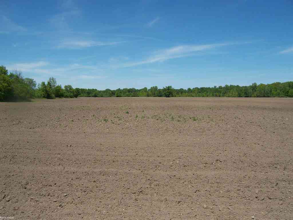 Vacant Land For Sale - LOT 4 Lapeer Rd Road <br/> Kimball, MI 48074
