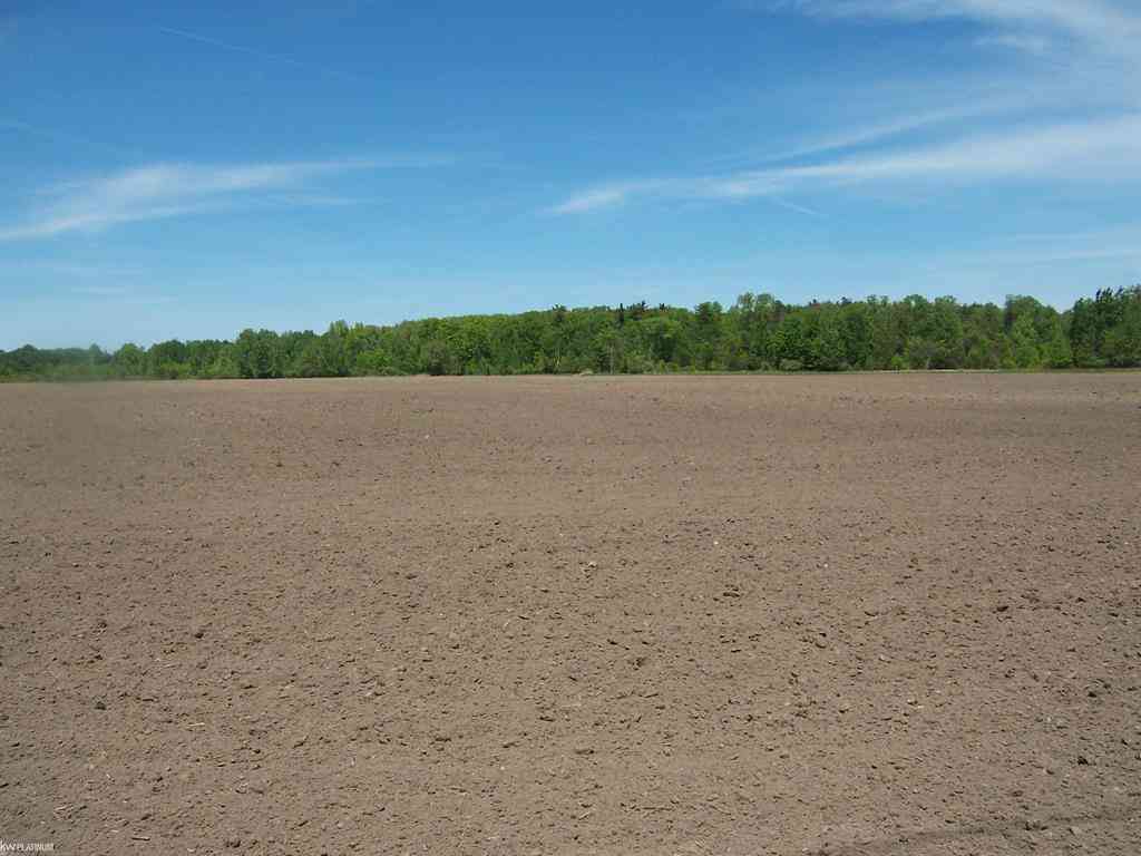Vacant Land For Sale - LOT 6 Lapeer Rd Road <br/> Kimball, MI 48074