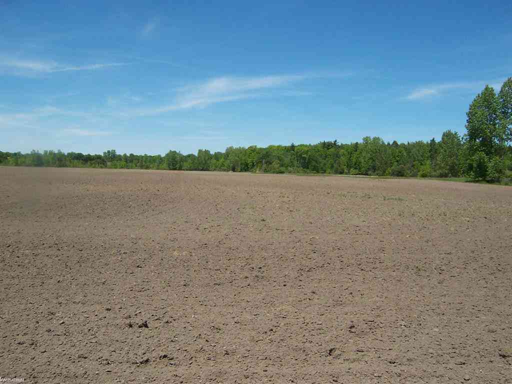 Vacant Land For Sale - LOT 8 Lapeer Rd Road <br/> Kimball, MI 48074