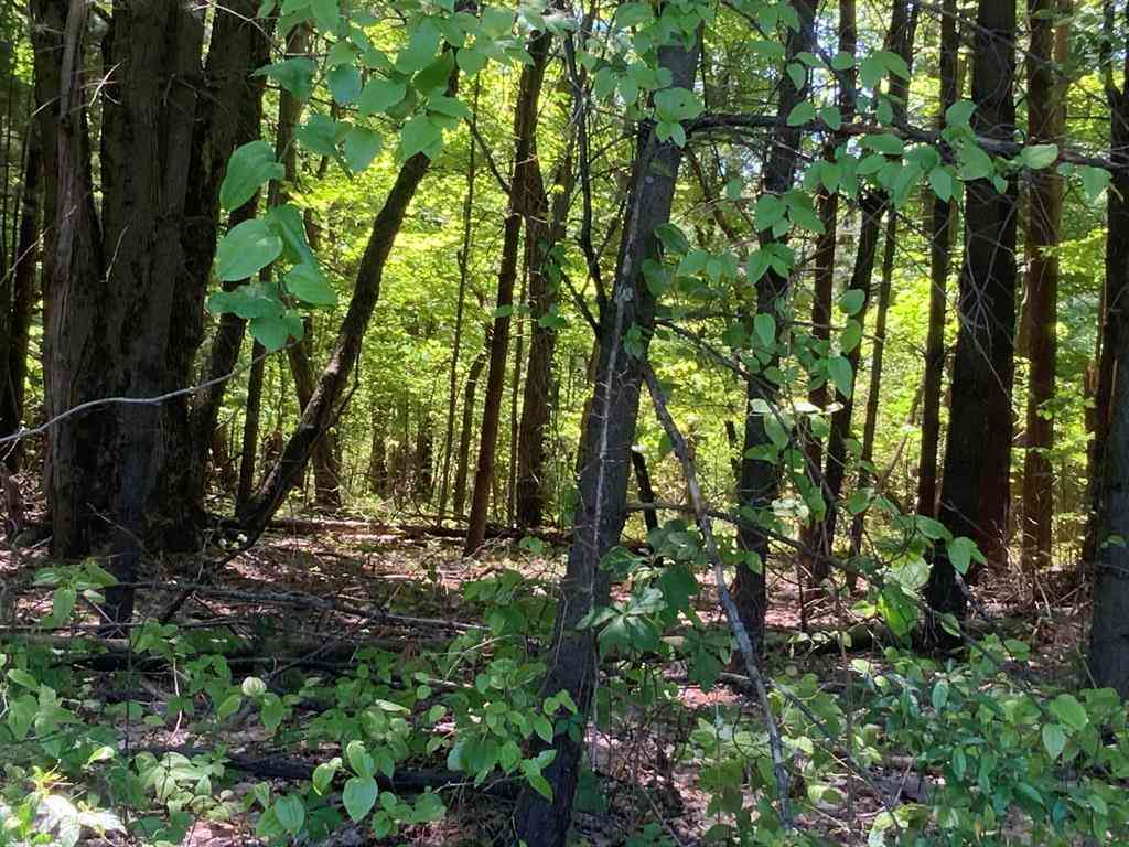 Vacant Land For Sale - V/L Brenan Road <br/> Grand Junction, MI 49056