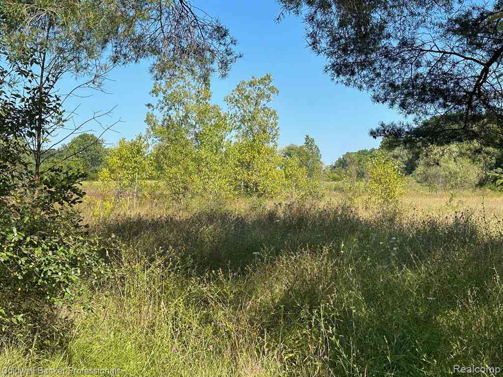 Vacant Land For Sale - 1001 S Vassar Road <br/> Davison, MI 48423
