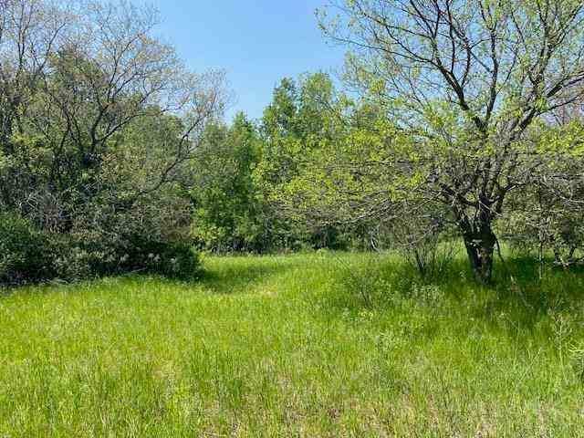 Vacant Land For Sale - #4 Lyns Court <br/> Williamsburg, MI 49690