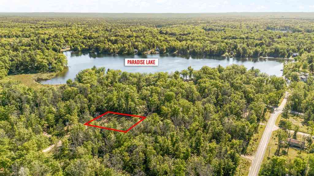 Vacant Land For Sale - 73 Harmony  <br/> Idlewild, MI 49642