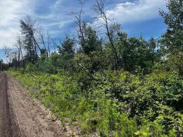 Vacant Land For Sale - PARCEL 2 Nelson Road <br/> Idlewild, MI 49642
