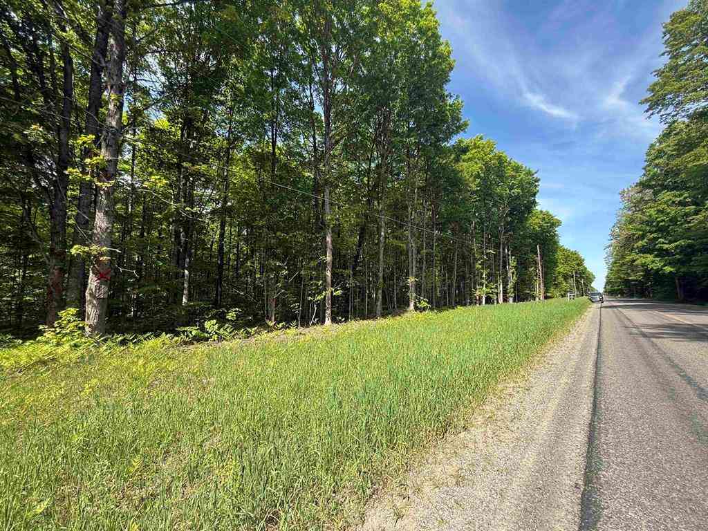 Vacant Land For Sale - 0000 Starvation Lake Road <br/> Kalkaska County, Mancelona, MI 49569