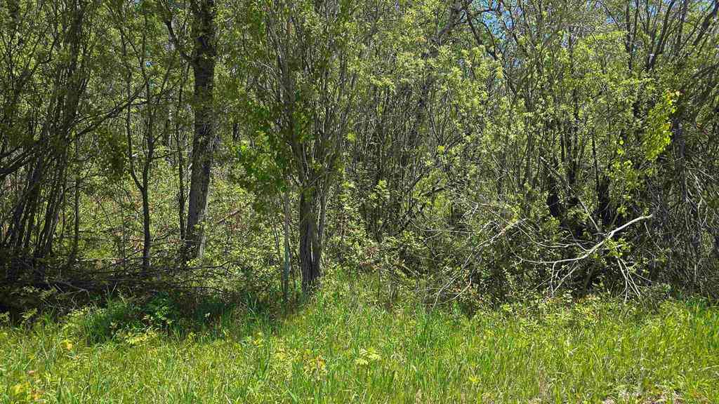 Vacant Land For Sale - 00 VL Mill Street <br/> Emmet County, Levering, MI 49755