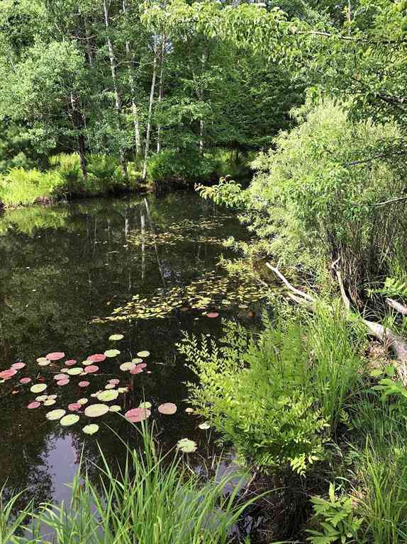 Vacant Land For Sale - 00 W Deborah Ann Trail <br/> Empire, MI 49630
