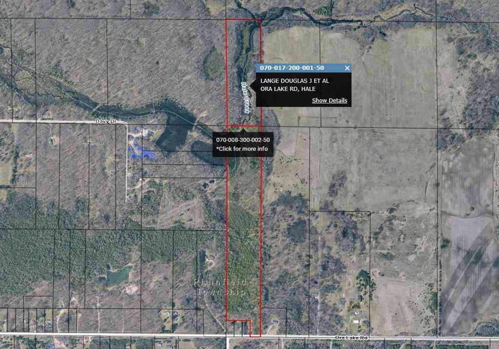 Vacant Land For Sale - 000 Ora Lake Road <br/> Hale, MI 48739