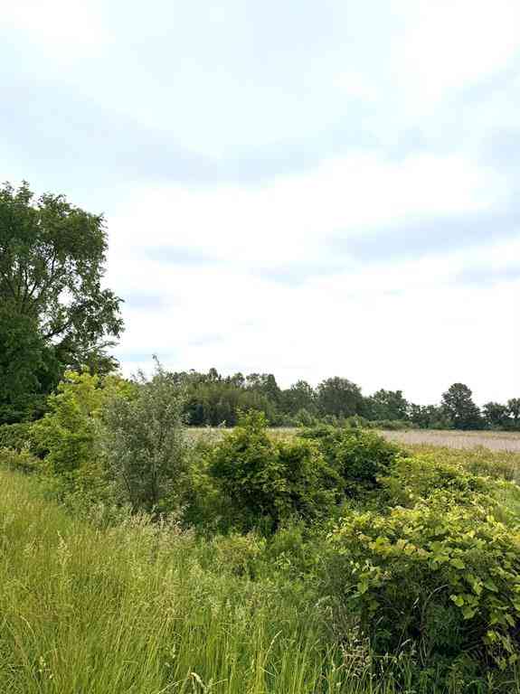 Vacant Land For Sale - Carpenter Road <br/> Berrien County, Three Oaks, MI 49128