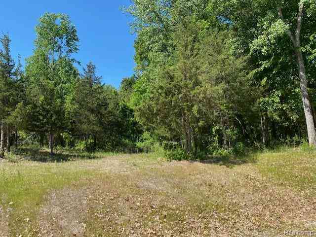 Vacant Land For Sale - LOT 5 Dollar Ridge Lane <br/> South Lyon, MI 48178