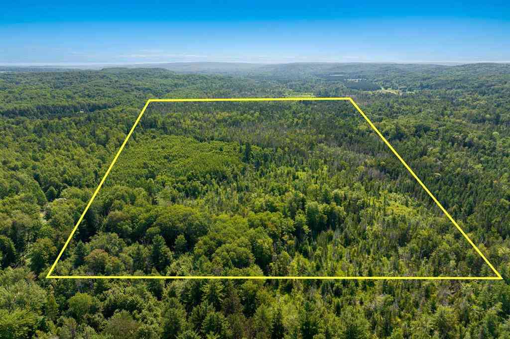 Vacant Land For Sale - 00 Aero Park Drive <br/> Antrim County, Bellaire, MI 49615