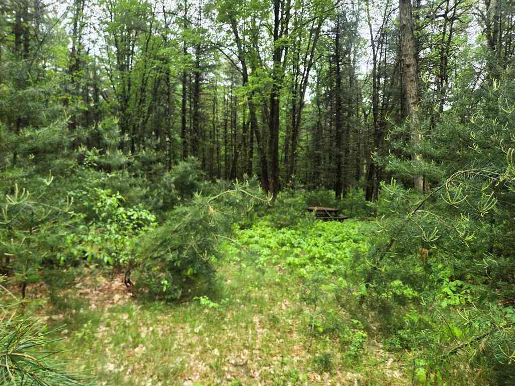 Vacant Land For Sale - 2709 S Jenny Circle <br/> Chase, MI 49623