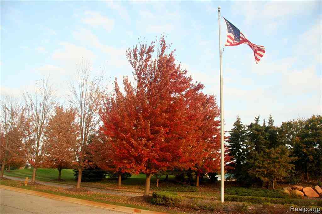 Vacant Land For Sale - 20 Tipperary Trail  <br/> Fenton, MI 48430