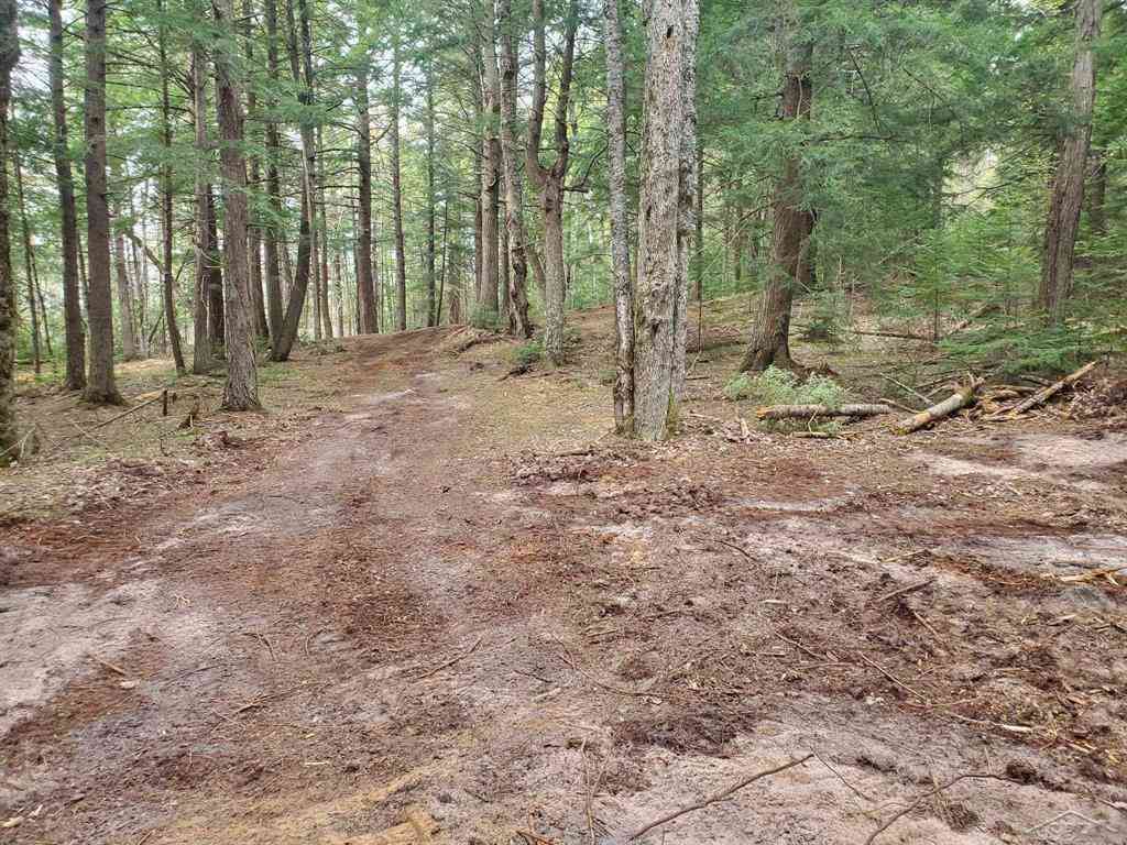 Vacant Land For Sale - Old Plank Road <br/> Alger County, Au Train, MI 49895