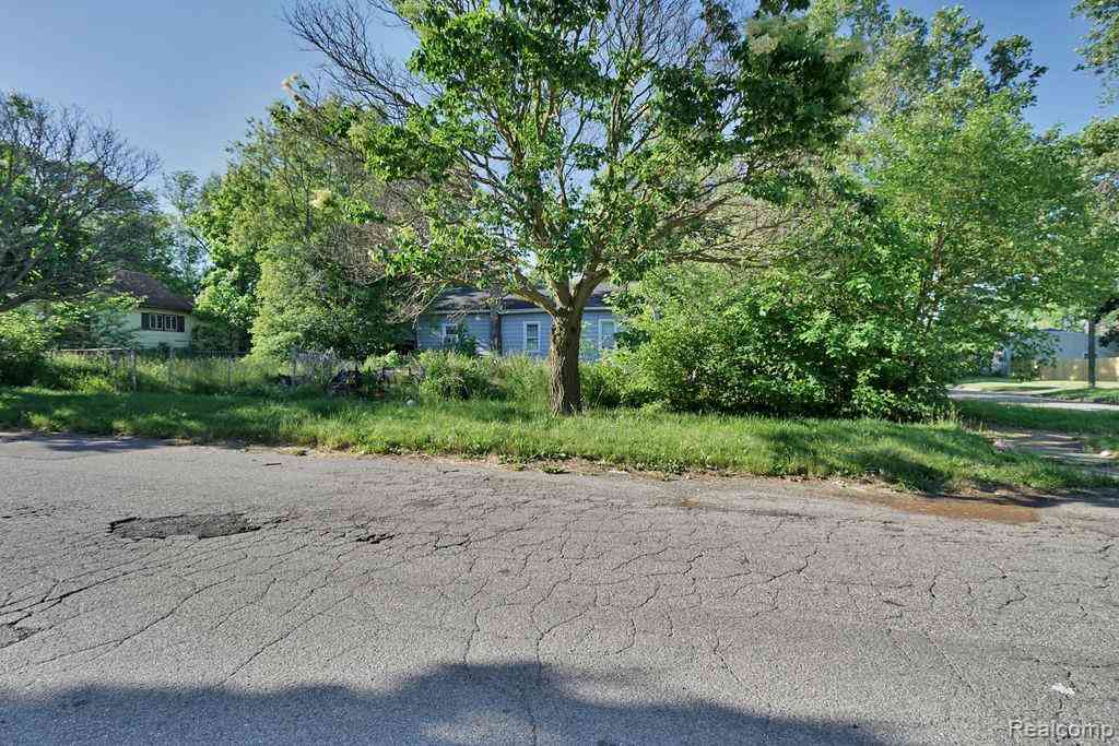 Vacant Land For Sale - 4201 Brunswick Avenue <br/> Flint, MI 48507