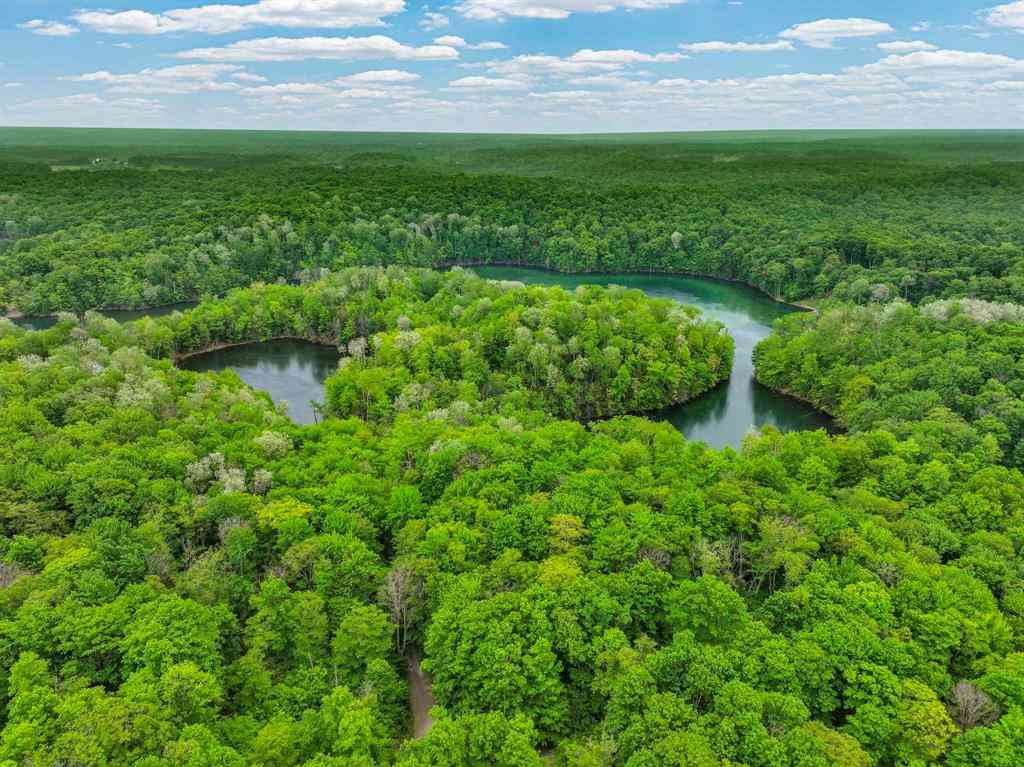 Vacant Land For Sale - Lost Lake Trail <br/> Mancelona, MI 49659