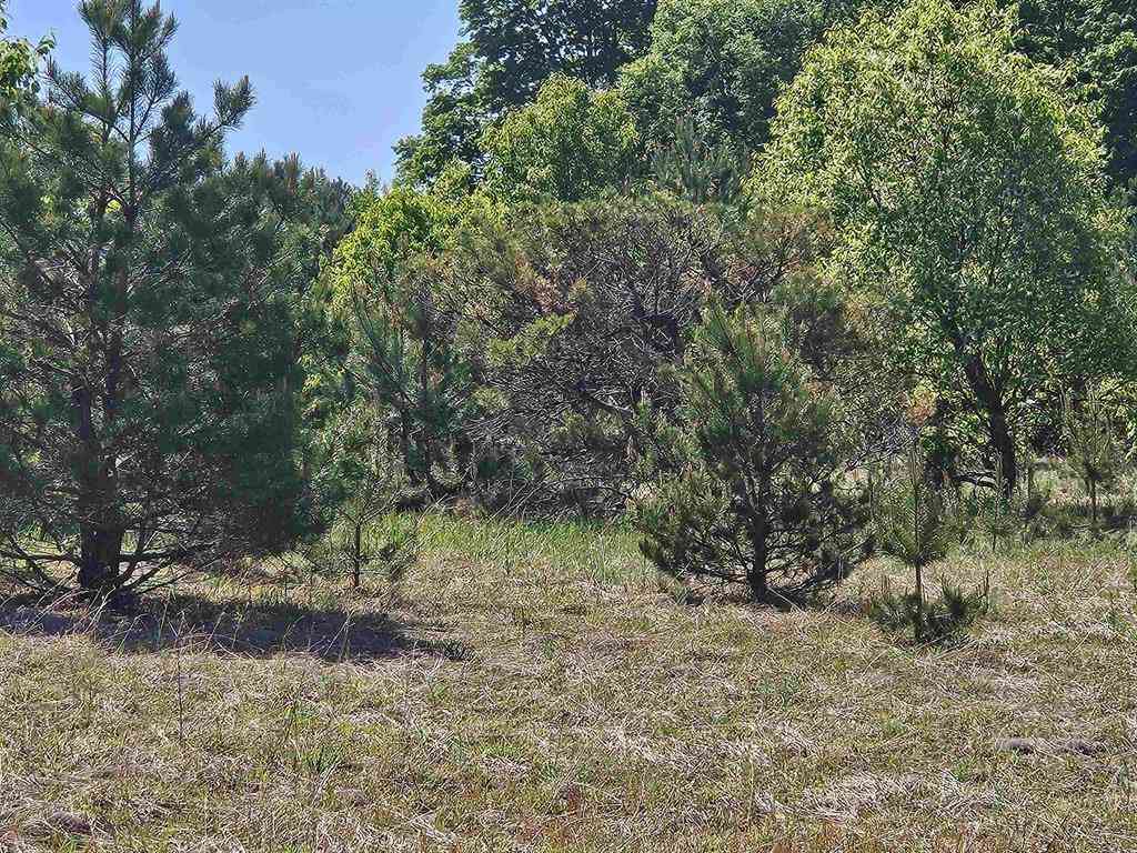 Vacant Land For Sale - V/L PARCEL C SE Grass Lake Road <br/> Kalkaska, MI 49646