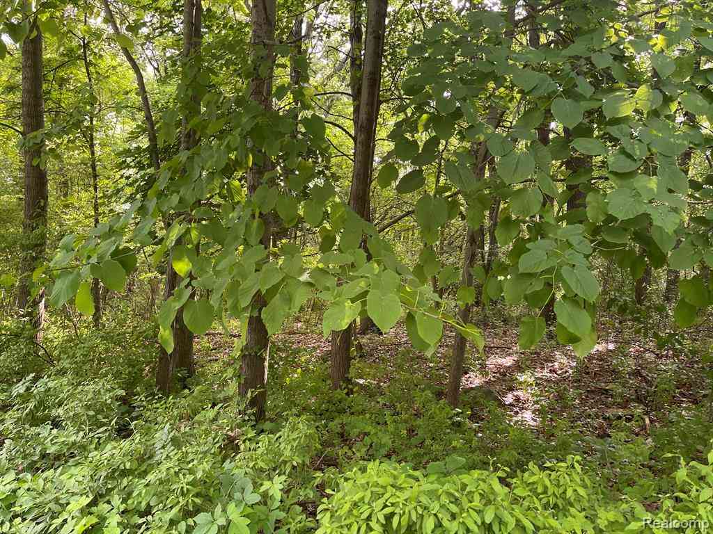 Vacant Land For Sale - 08 Tipsico Lake  <br/> Highland, MI 48357