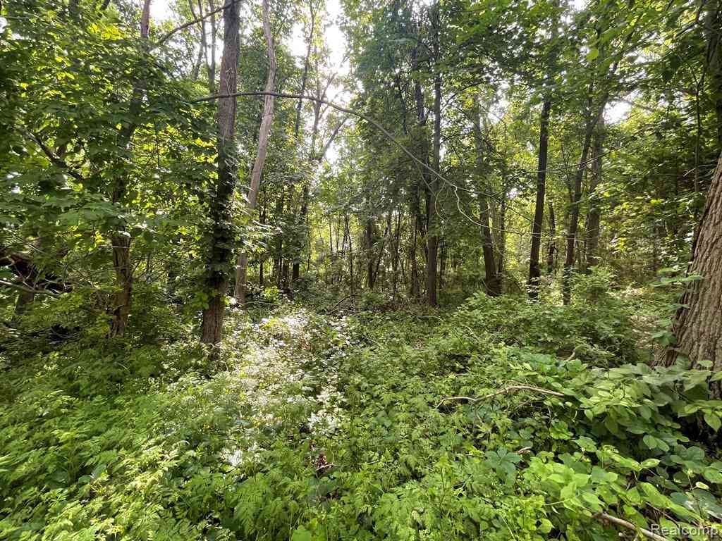 Vacant Land For Sale - 09 Tipsico Lake Road <br/> Highland, MI 48357