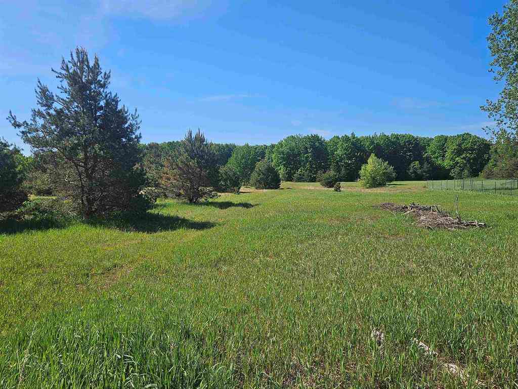 Vacant Land For Sale - V/L PARCEL B SE Grass Lake Road <br/> Kalkaska, MI 49646