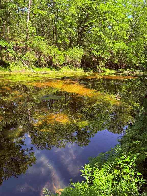 Vacant Land For Sale - 2620 Weaver Road <br/> Port Austin, MI 48467