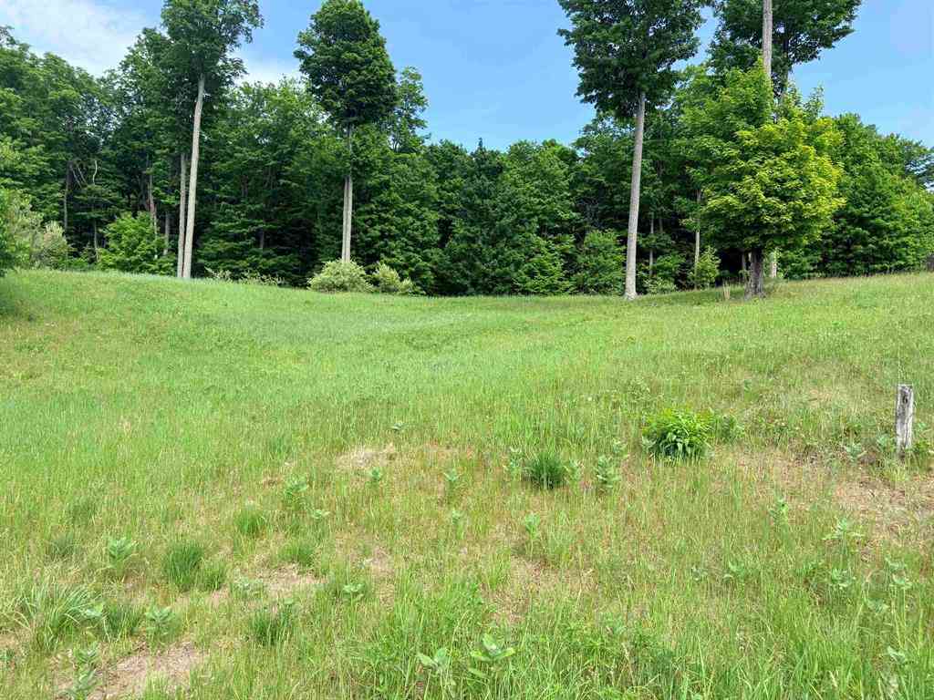 Vacant Land For Sale - 00 W Sleepy Valley Drive <br/> Empire, MI 49630