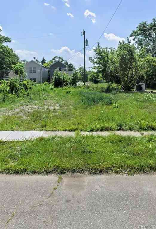 Vacant Land For Sale - 497 W Lantz Street <br/> Highland Park, MI 48203