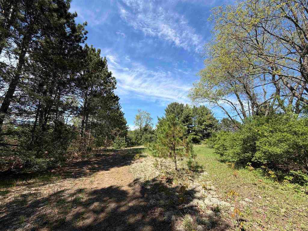 Vacant Land For Sale - 13158 Cinder Road <br/> Beulah, MI 49617