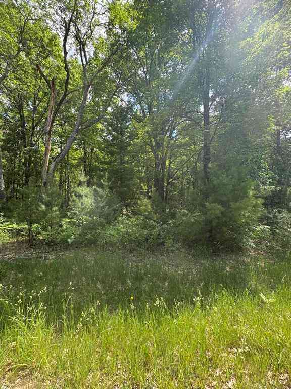 Vacant Land For Sale - 2830 W Pierce Drive <br/> Brohman, MI 49312