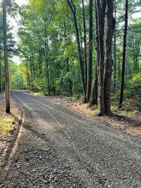 Vacant Land For Sale - 8268 S Ferris Avenue <br/> Newaygo, MI 49337