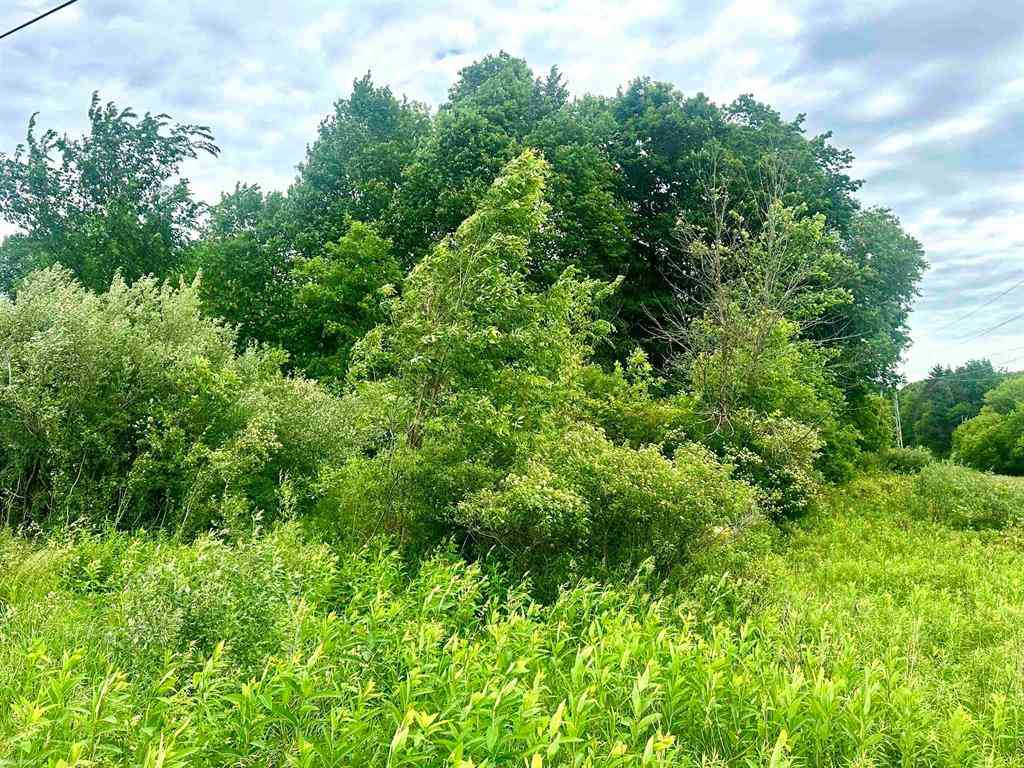Vacant Land For Sale - VL Braidwood Parcel 5 Road <br/> Riley, MI 48041