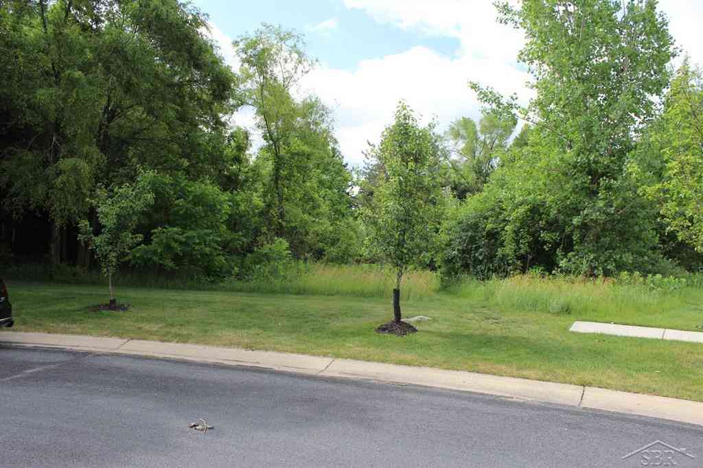 Vacant Land For Sale - LOT 86 Edgebrook Drive <br/> Saginaw, MI 48609