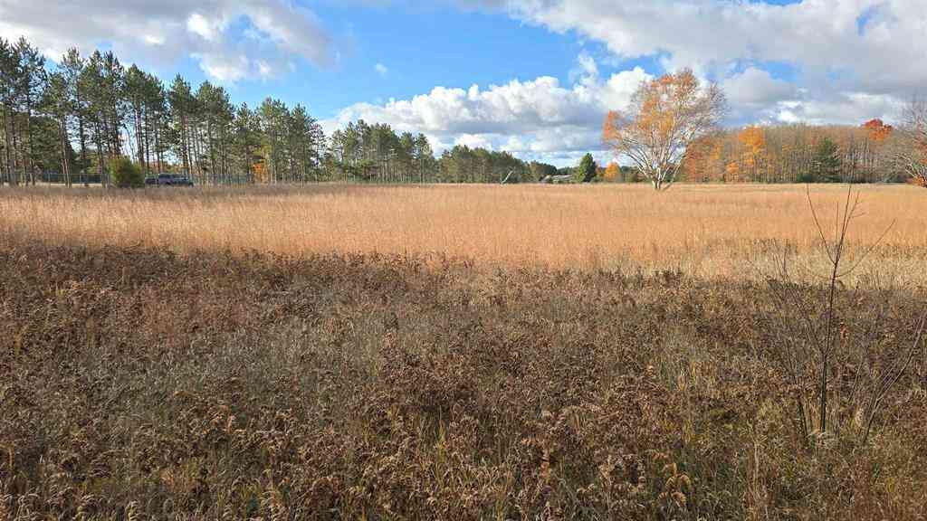 Vacant Land For Sale - 1980 Us-131 Sw  <br/> South Boardman, MI 49680