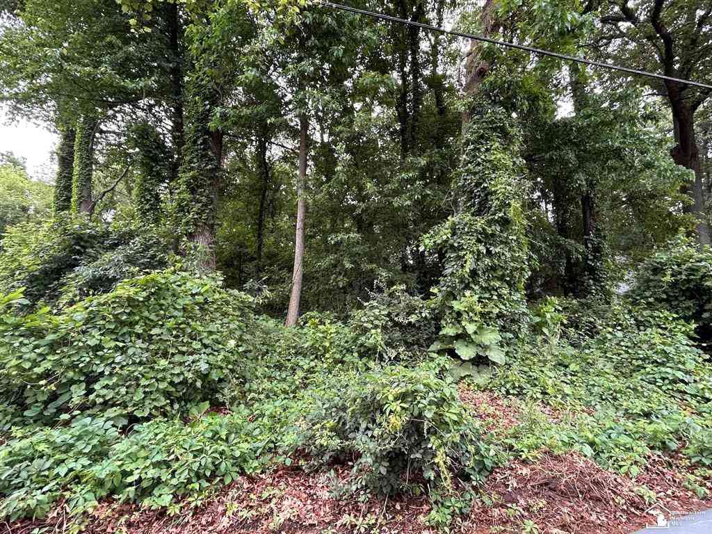 Vacant Land For Sale - 12893 Kelley Road <br/> Brooklyn, MI 49230