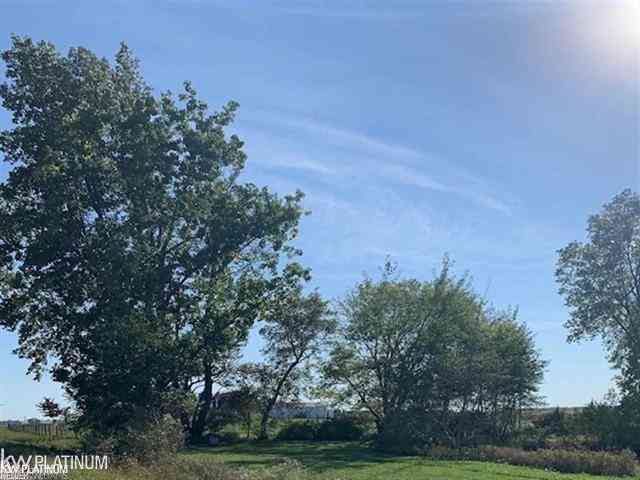 Vacant Land For Sale - Cade Road <br/> Brown City, MI 48416