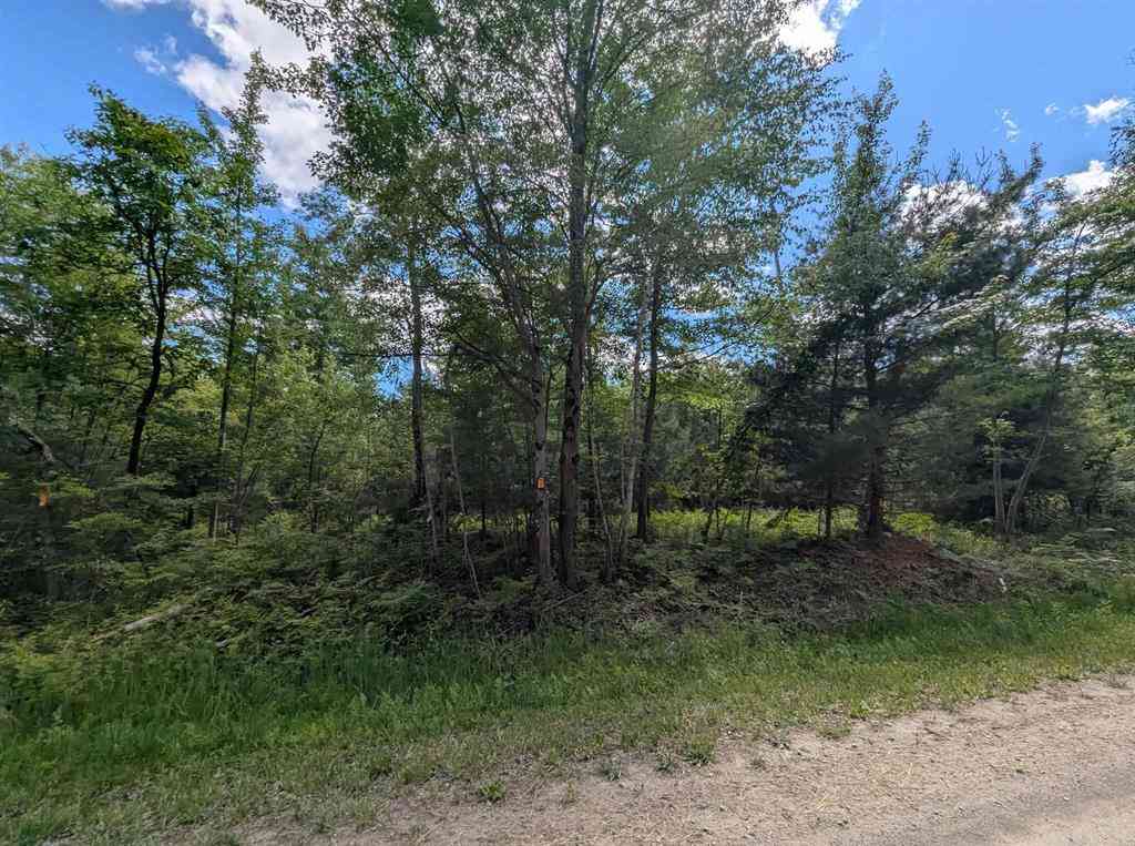 Vacant Land For Sale - N/A Bordeau Road <br/> Standish, MI 48658