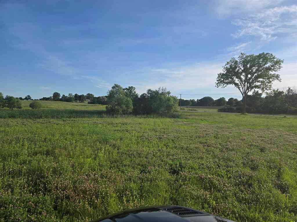 Vacant Land For Sale - 13015 Linden Road <br/> Linden, MI 48451