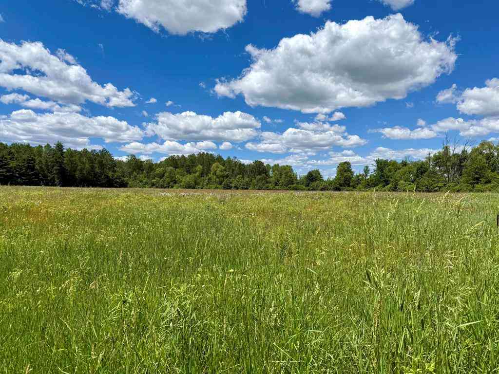 Vacant Land For Sale - V/L 5th Avenue <br/> Marion, MI 49665