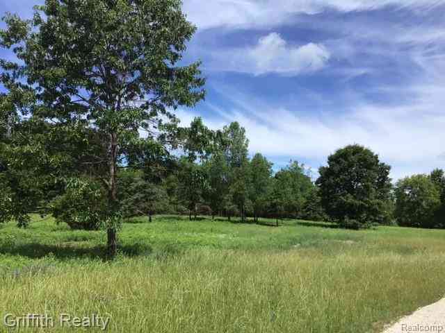 Vacant Land For Sale - PARCEL 1 E Coon Lake Road <br/> Howell, MI 48843