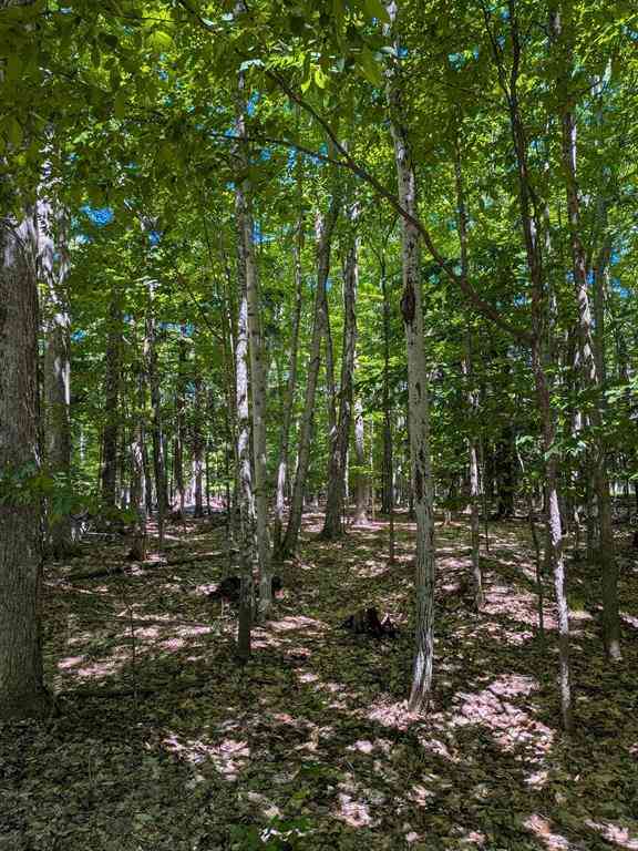Vacant Land For Sale - M-48  <br/> Pickford, MI 49774
