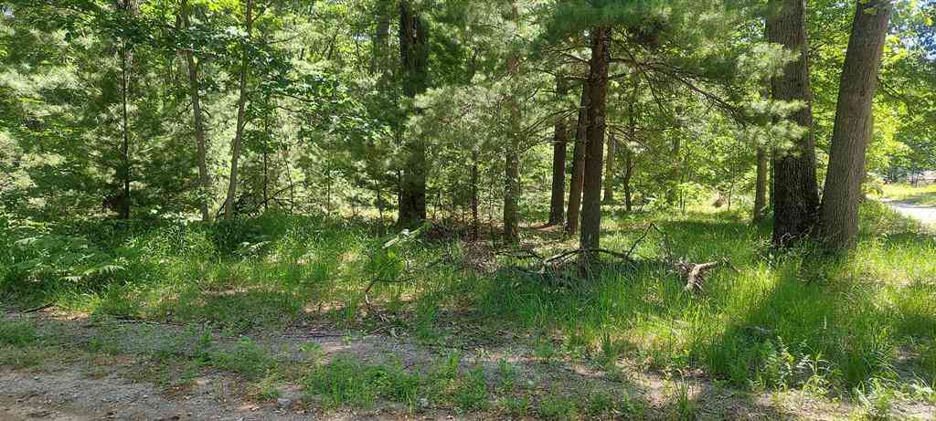 Vacant Land For Sale - V/L Beverlyway Drive <br/> Twin Lake, MI 49457