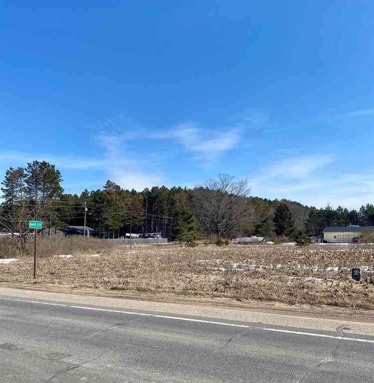 Vacant Land For Sale - 7430 Rapid City Road <br/> Rapid City, MI 49676