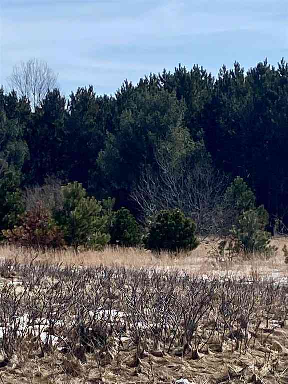 Vacant Land For Sale - 7430 Rapid City Road <br/> Rapid City, MI 49676