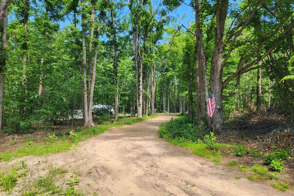 Vacant Land For Sale - 9955 Greenway Drive <br/> Frederic, MI 49733